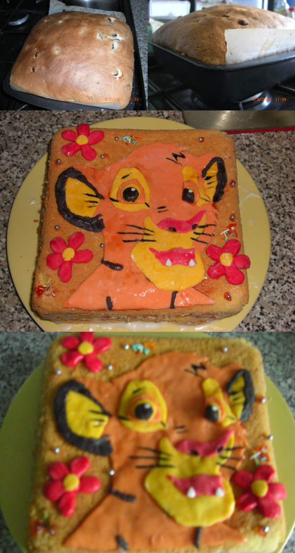 Lion King Cake by R A W R on