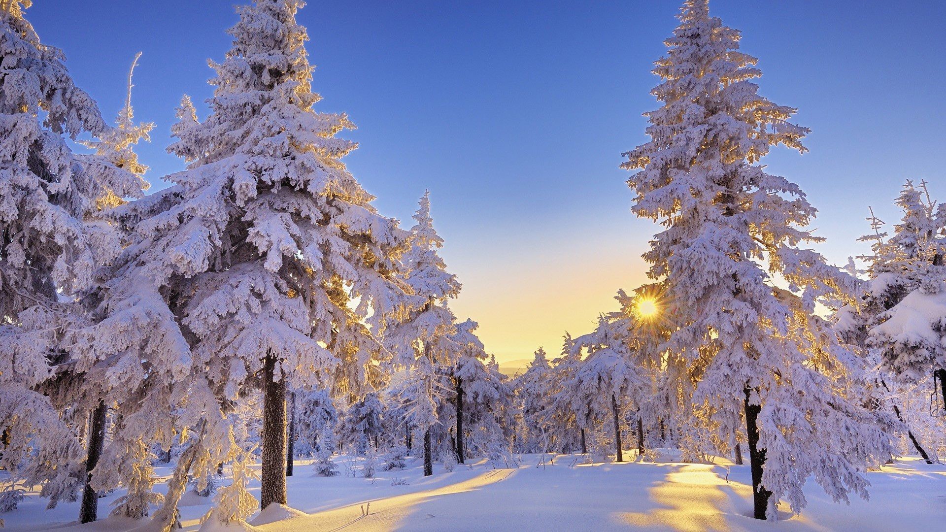 3d Winter Desktop Wallpaper Image