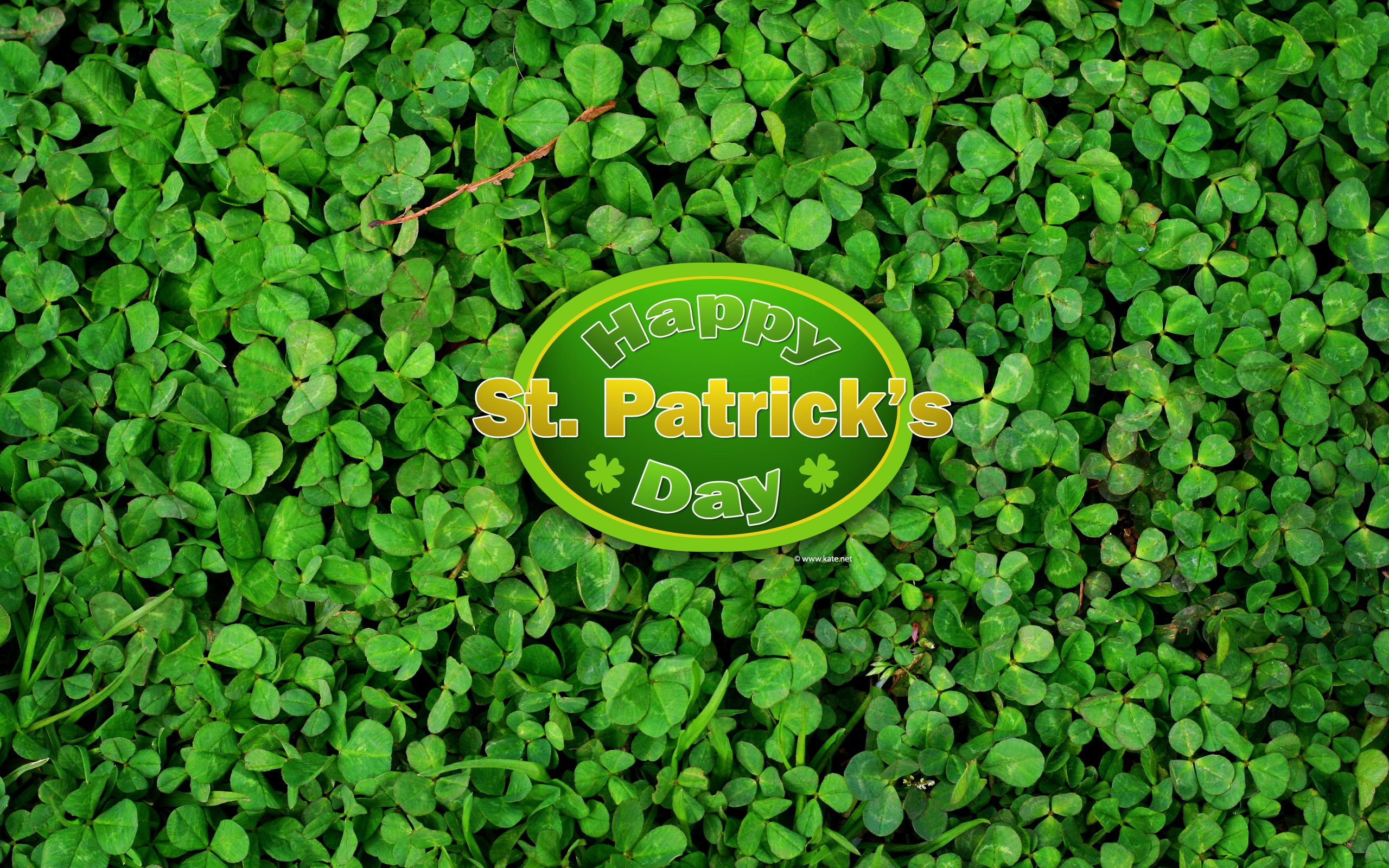 St Patrick S Day Wallpaper By Kate