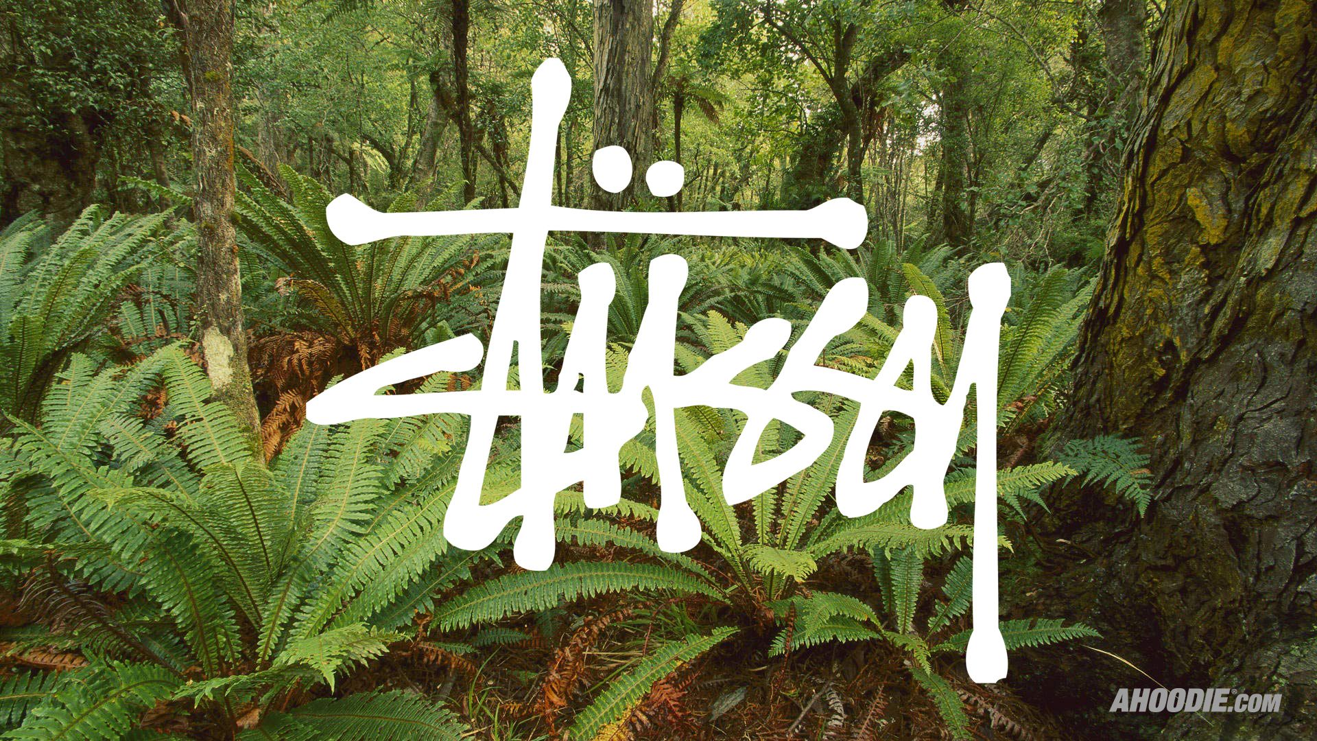 🔥 [50+] Stussy 4k Wallpapers WallpaperSafari