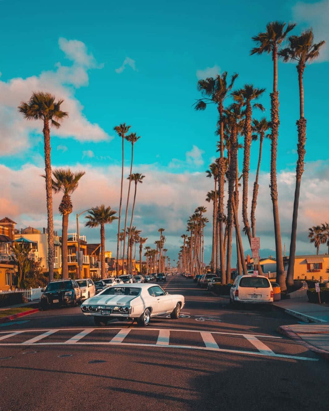 California Summer Wallpaper
