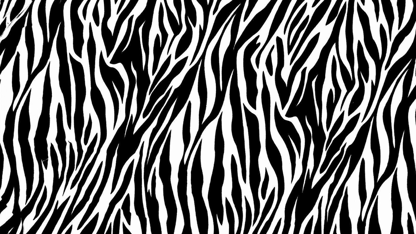 Zebra Desktop Wallpaper