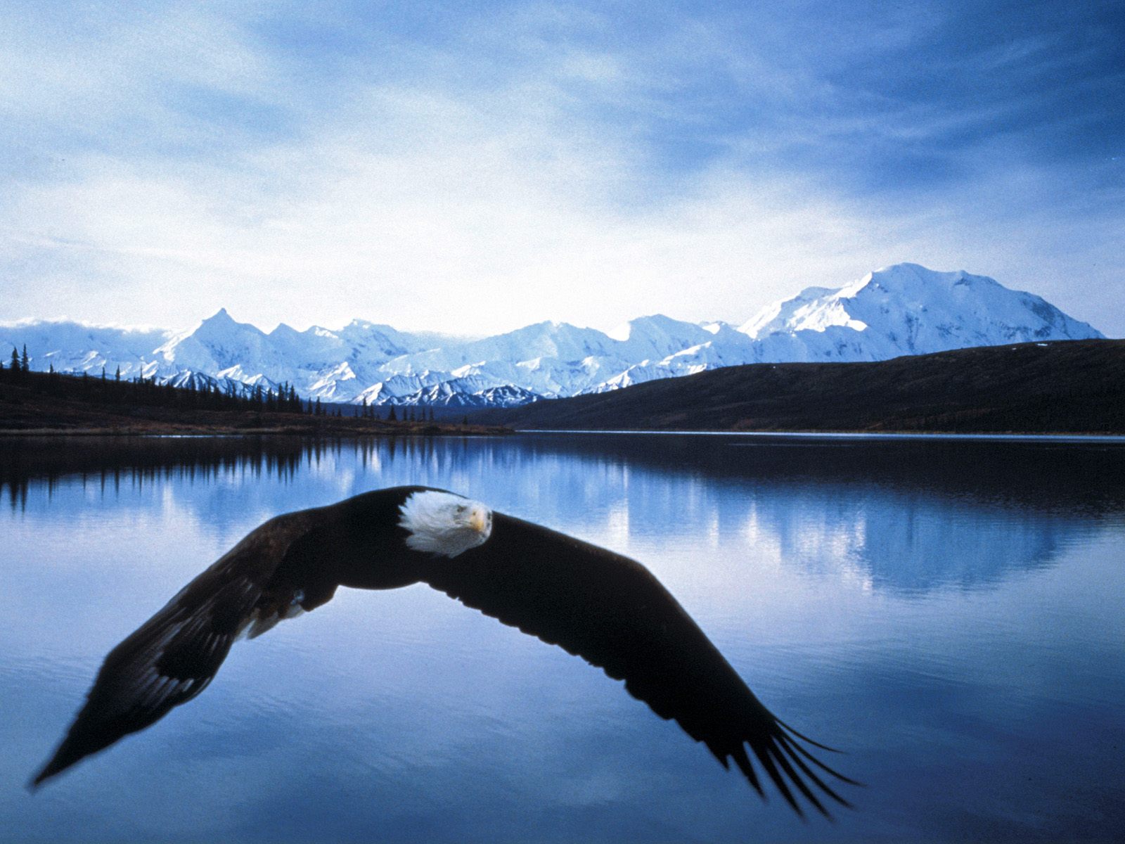 The Top National Parks In Alaska Natural Creations