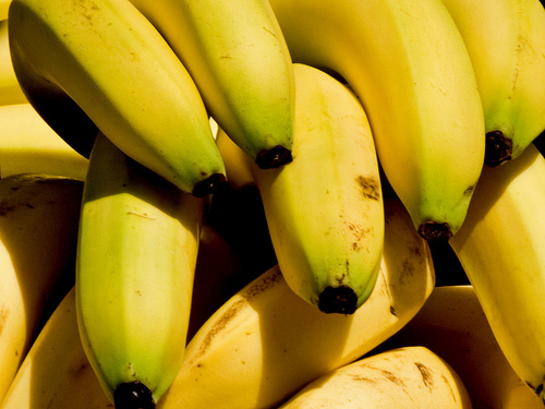 yellow banana background pattern Flickr   Photo Sharing