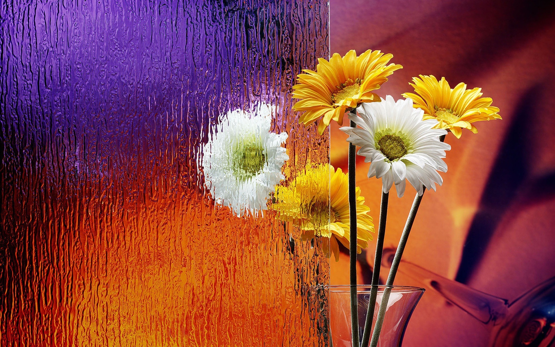 Colorful Flower Background Wallpaper 11206 Wallpaper Wallpaper hd