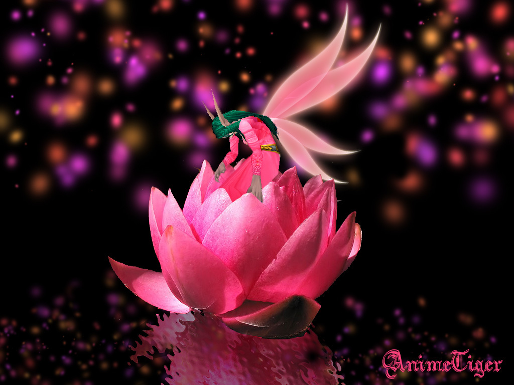 Gallery For gt Pink Fairy Backgrounds