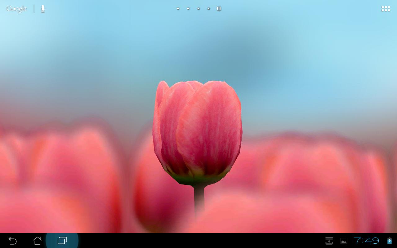 3d Tulip Live Wallpaper Android Apps On Google Play
