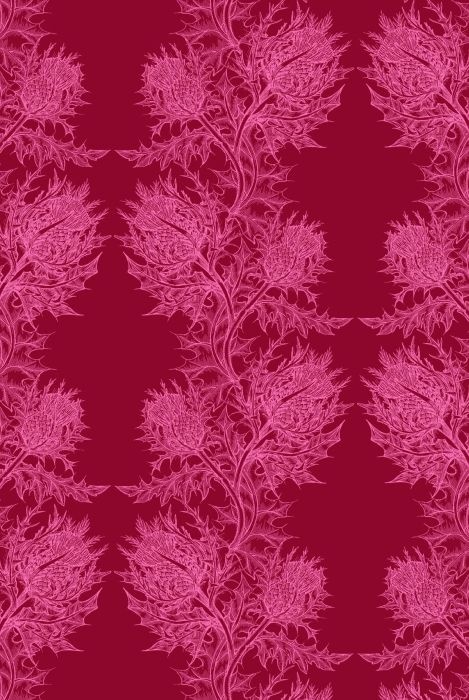 Timorous Beastie Thistle Wallpaper Details For The Home