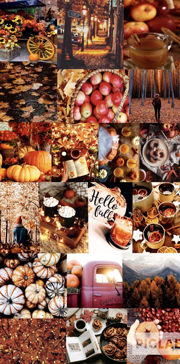 🔥 Free download Madison Van Horn on Autumn Aesthetics Thanksgiving