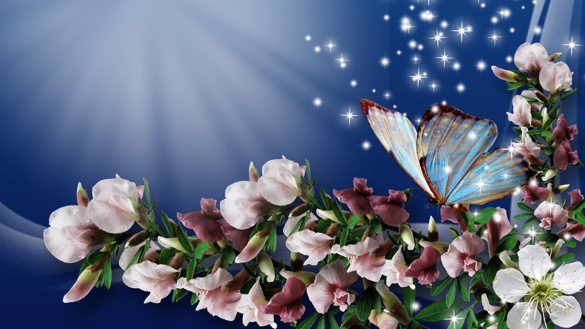 Of HD Wallpaper Desktop Spring Butterfly