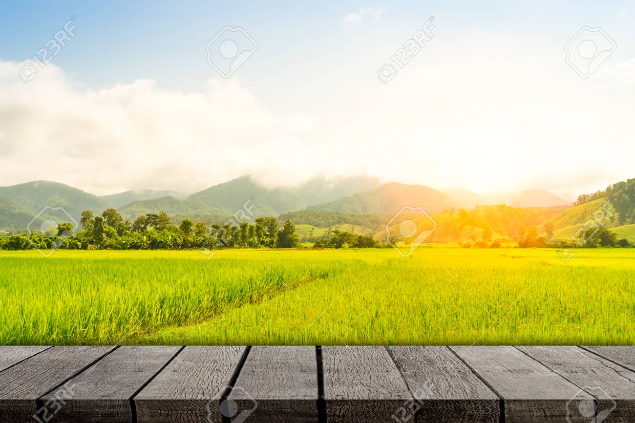 Empty Wooden Photo Frame On Paddy Farm Background Stock