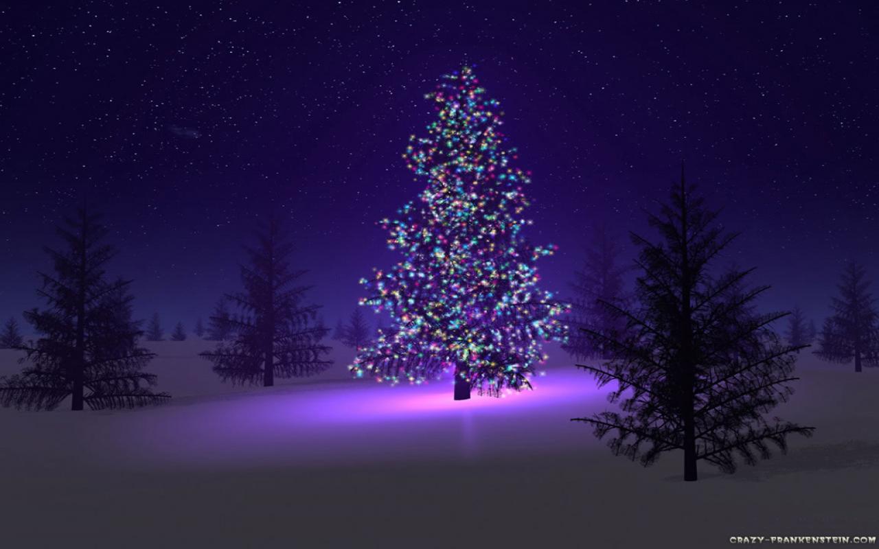 Christmas Night Tree HD Wallpaper