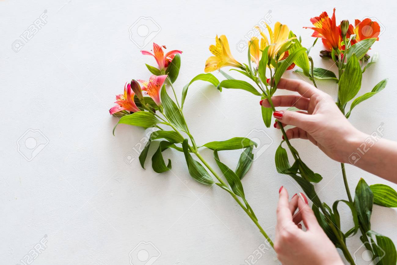 Vibrant Types Of Flowers Florists Use Landscape Collection Vibrant Types Of Flowers Florists Use Landscape Collection