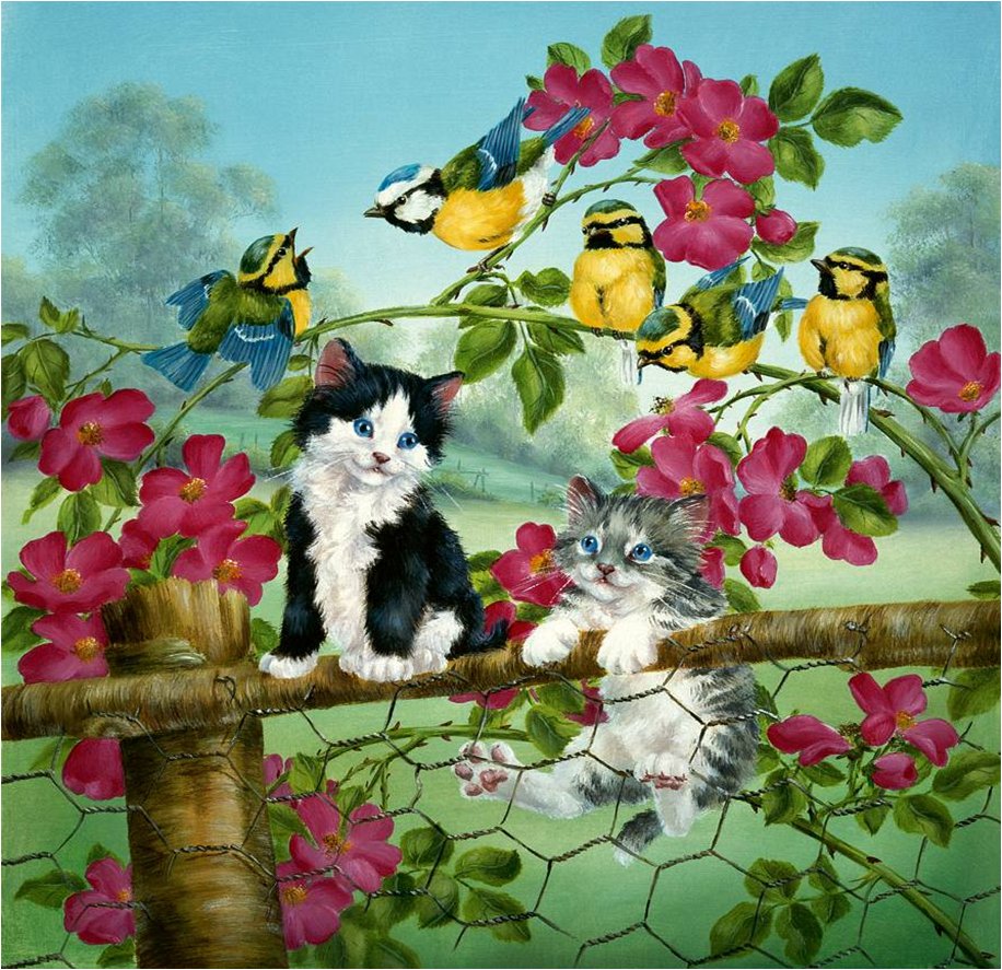Spring Titmouse Cats And Singing Wallpaper