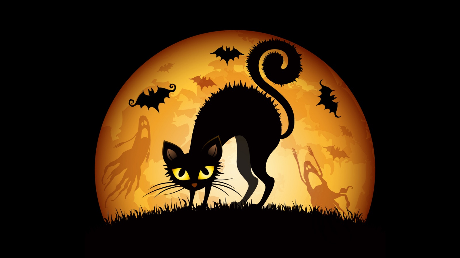 Halloween Cats Bats Wallpaper Desktop Background In
