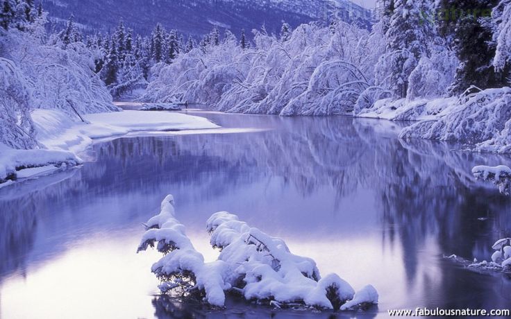 Winter Landscape Wonderland Ii