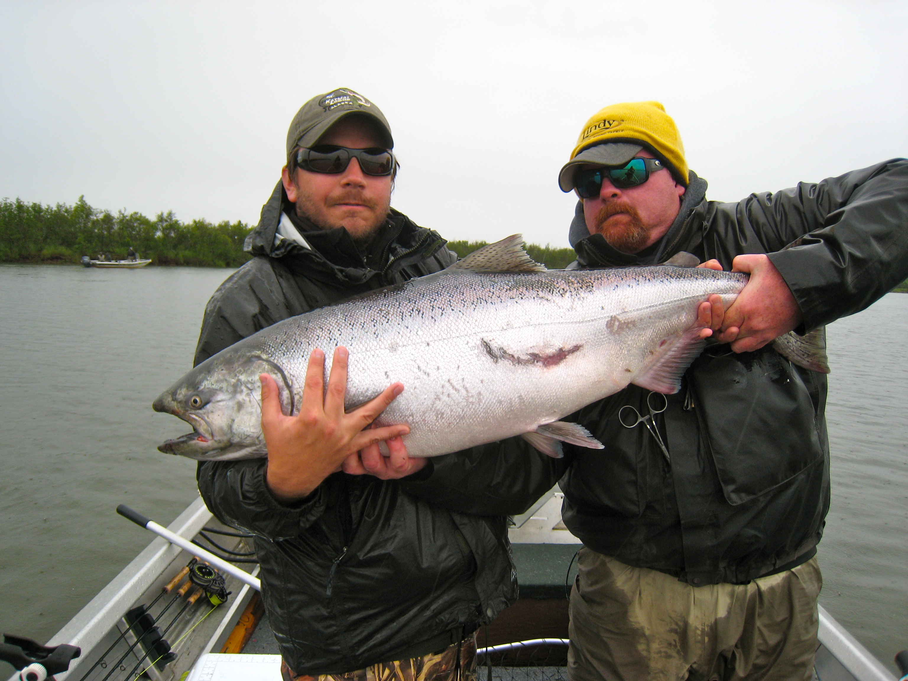 Alaska King Salmon Fishing Season HD Wallpaper