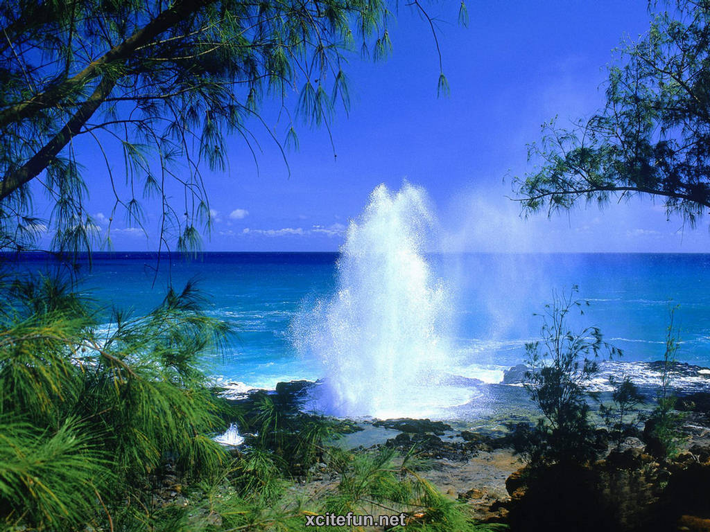 Kauai Hawaii Pictures Wallpapers Travel Guide   The Garden Isle