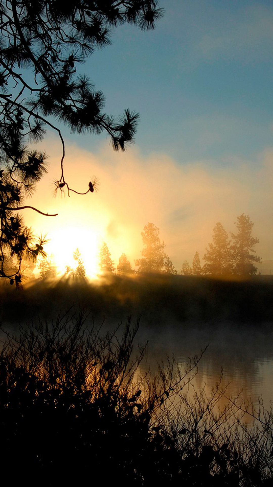 Sunrise Mist Forest Smartphone Wallpaper HD Getphotos