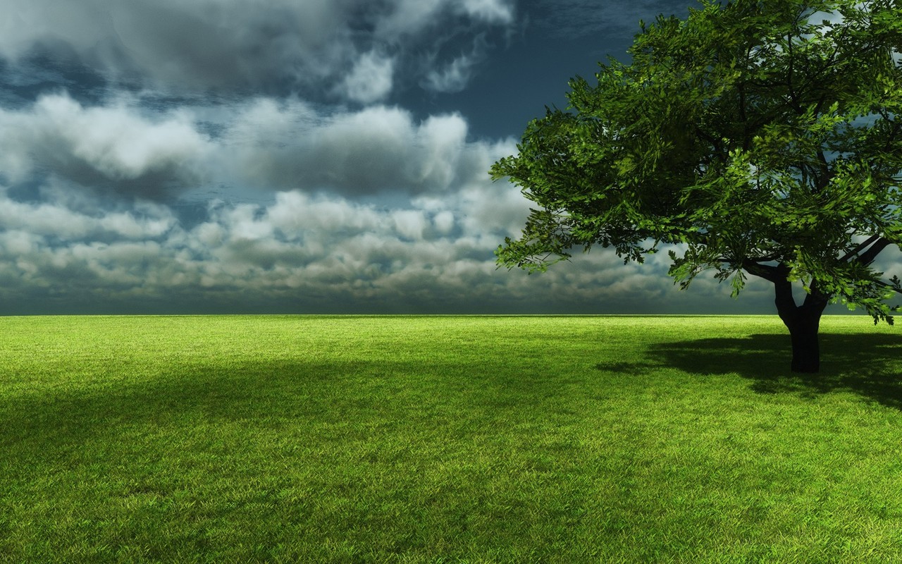 Lonely Green Tree Wallpaper