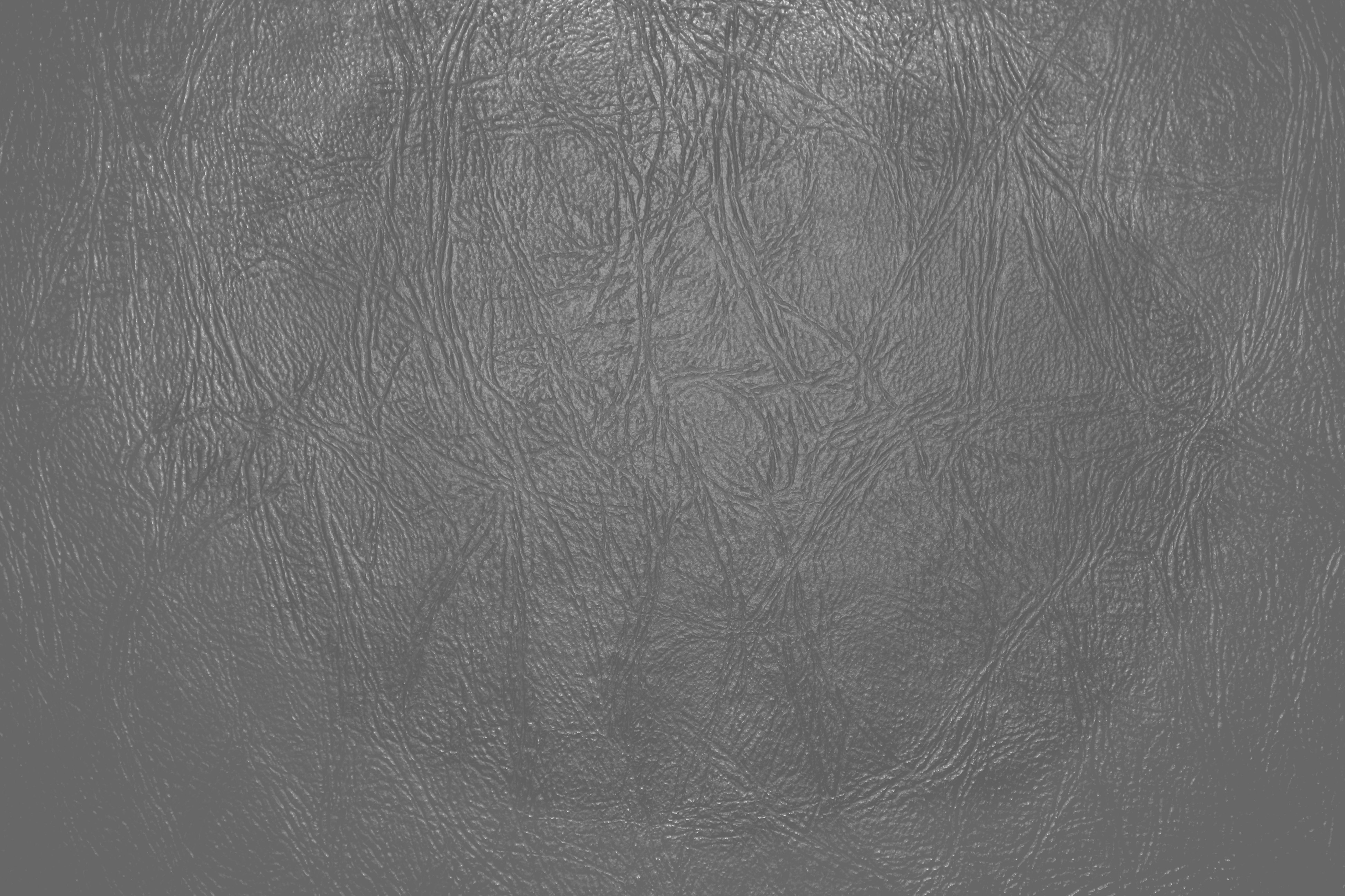 Light Gray Leather Close Up Texture Picture Photograph Photos