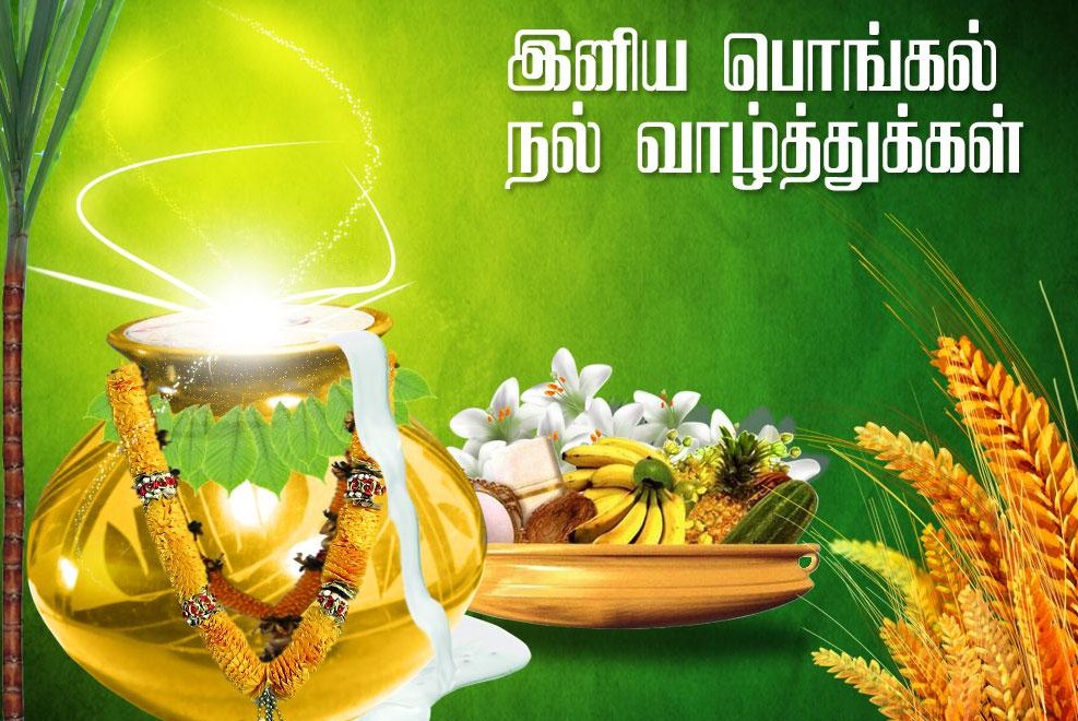 Pongal Wishes In Tamil Happy Image