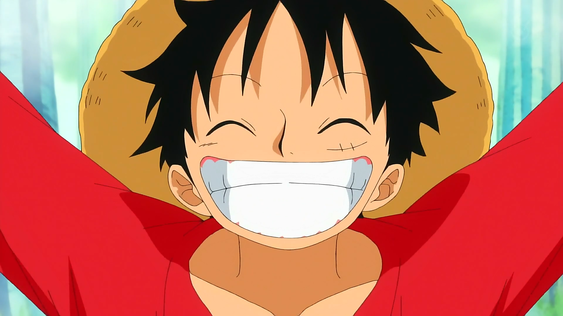 One Piece Luffy Smile wallpaper   698325 1920x1080
