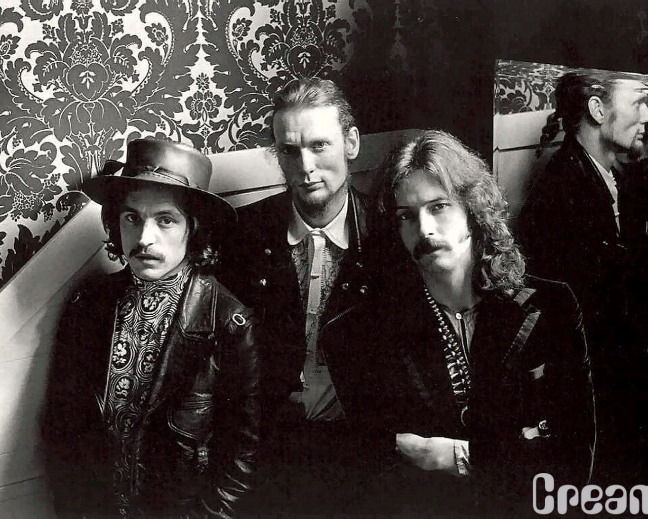 Simply Syndicated Cream Band Wallpaper