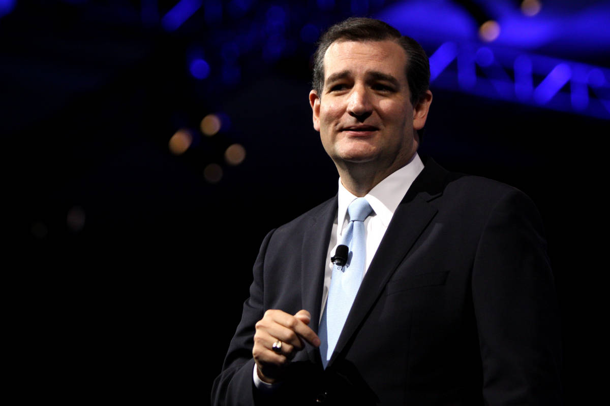 Vad Kan Du Om Ted Cruz Usaval Wallpaper
