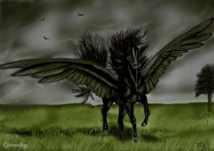 Black Pegasus A Fantasy Drawing By Marilens