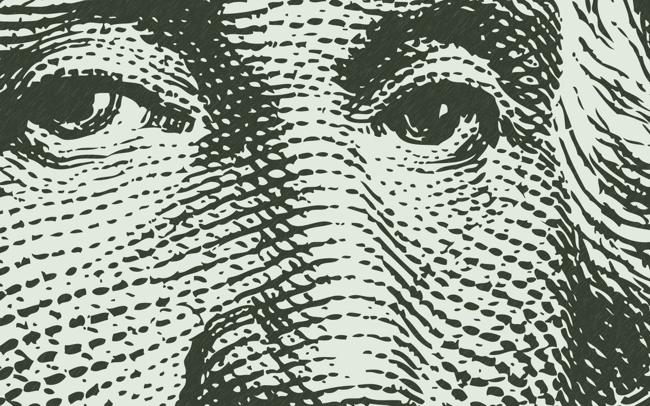 Close Up Money Wallpaper Closeup Washington Dc