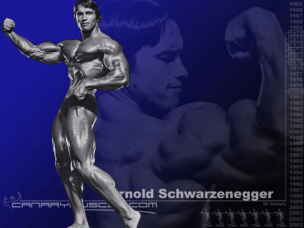 Arnold Schwarzenegger Mr Olympia Bodybuilding Wallpaper Resolution