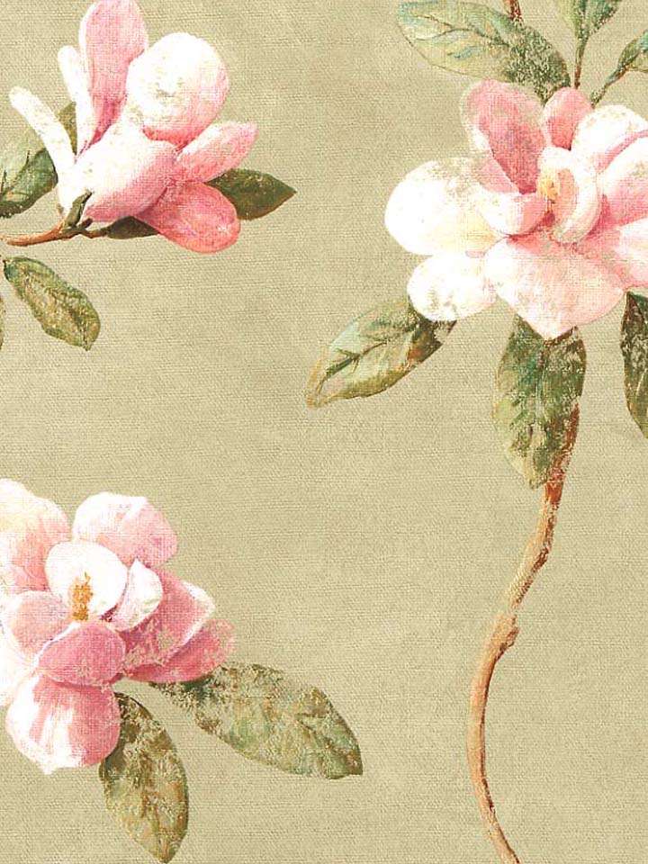 Free download BORDERS WALLPAPER CATEGORIES KITCHEN WALLPAPER YORK MAGNOLIA [720x960] for your