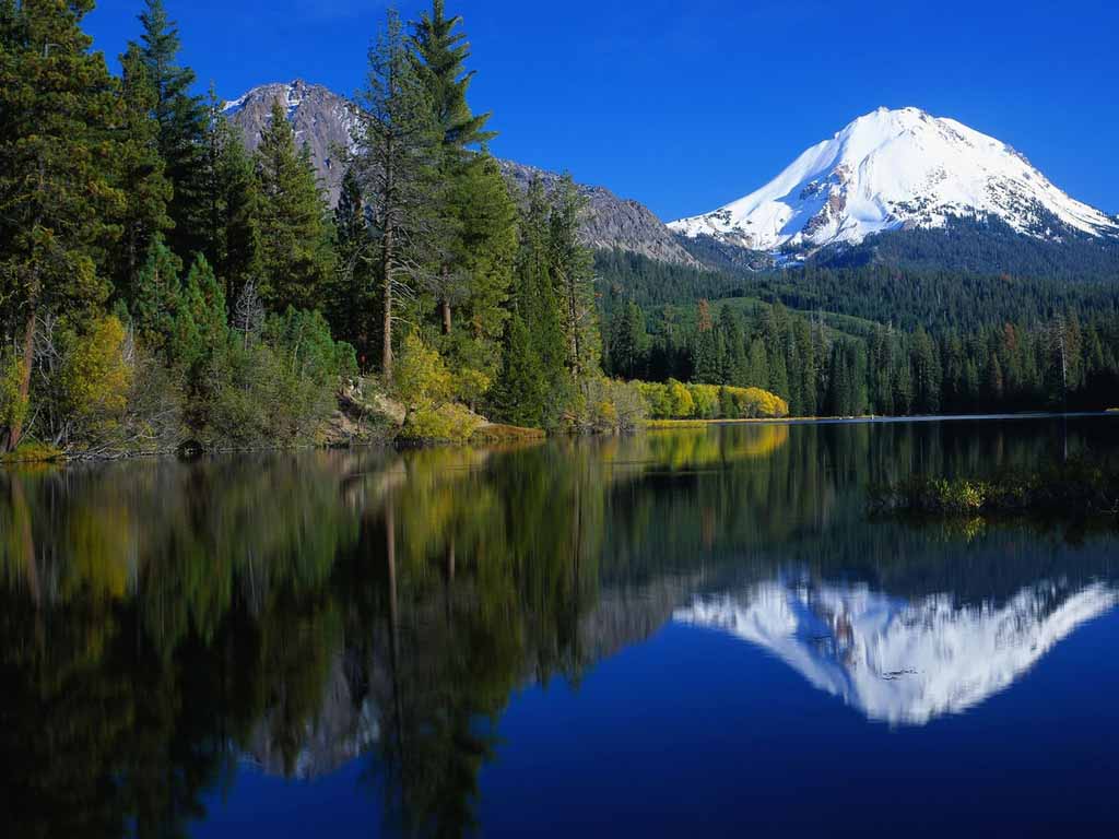 Screensavers And Wallpaper Screensavers And Wallpaper Palms And 