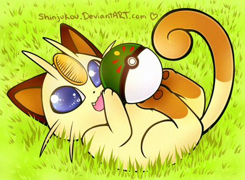 Pok Mon Image Meowth HD Wallpaper And Background Photos