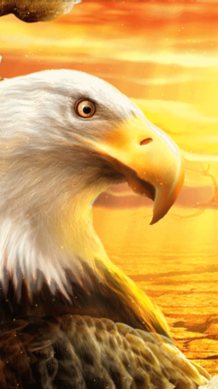 Bald Eagle Wallpaper Background Awesome Angry