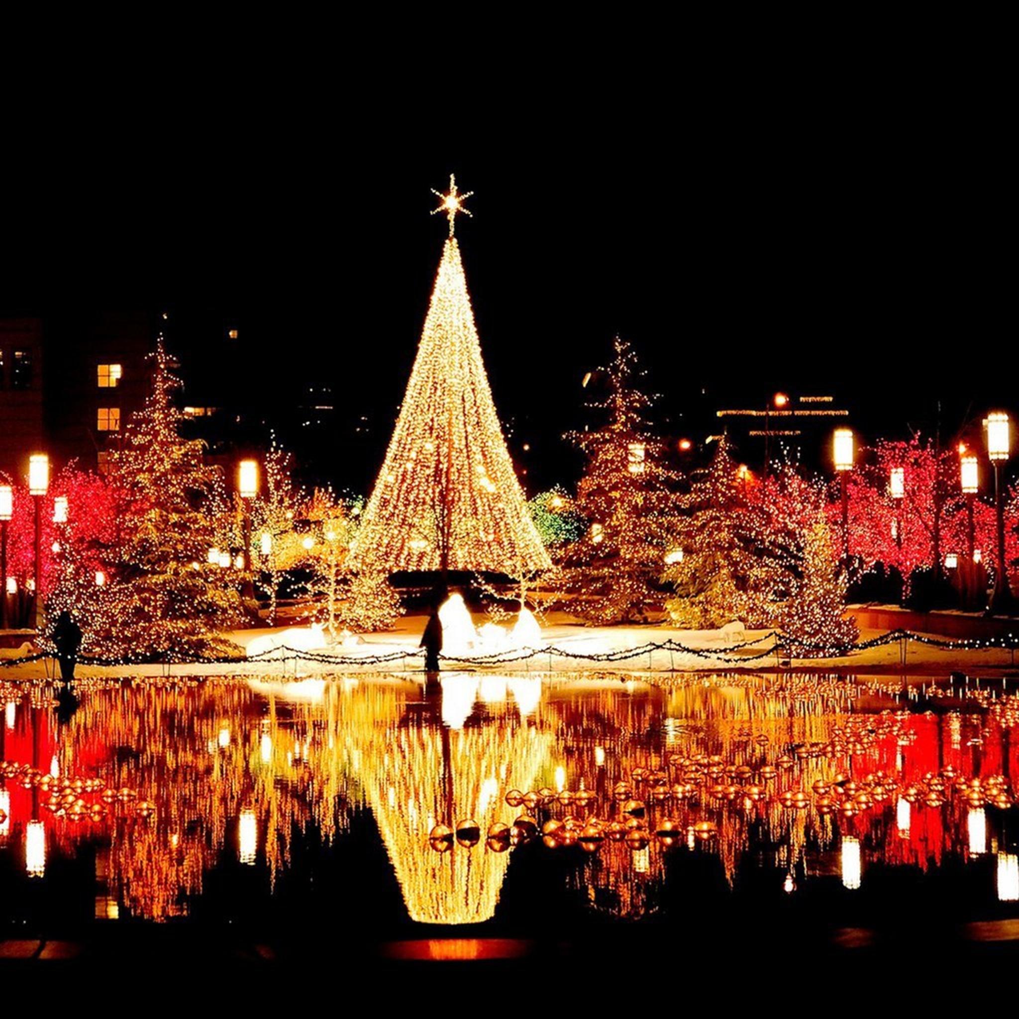 A dazzling display of Christmas lights, featuring a towering, illuminated Christmas tree reflected in a still pond. The surrounding trees and bushes are also adorned with colorful lights, creating a festive and magical atmosphere