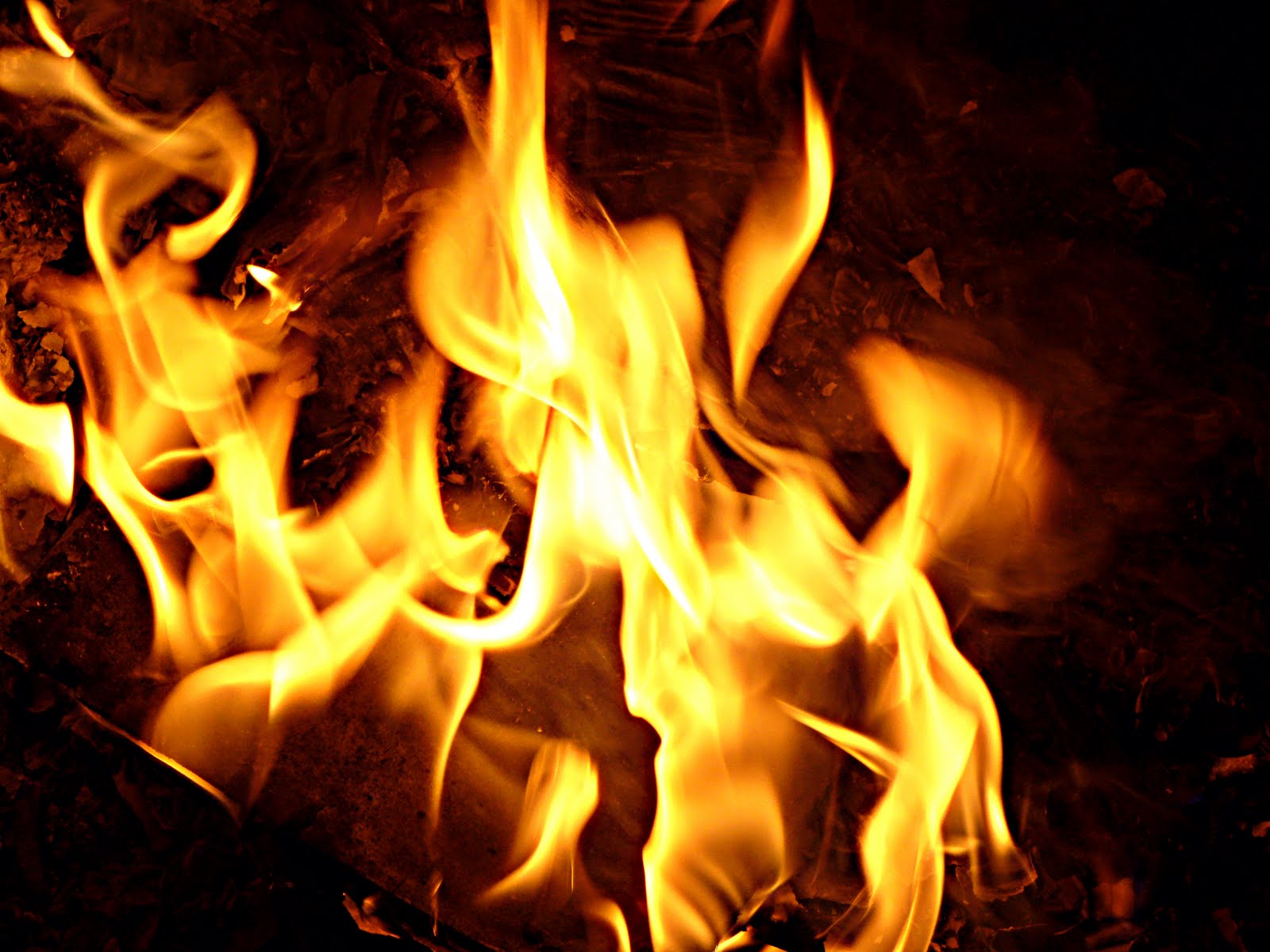 That Fire In Your Bones Wallpaper