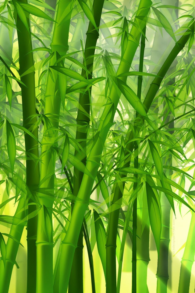 Vector Green Bamboo Forest Japan iPad iPhone HD Wallpaper