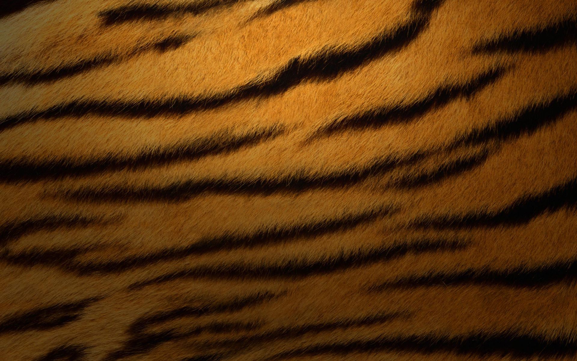 Animal Fur Wallpaper On