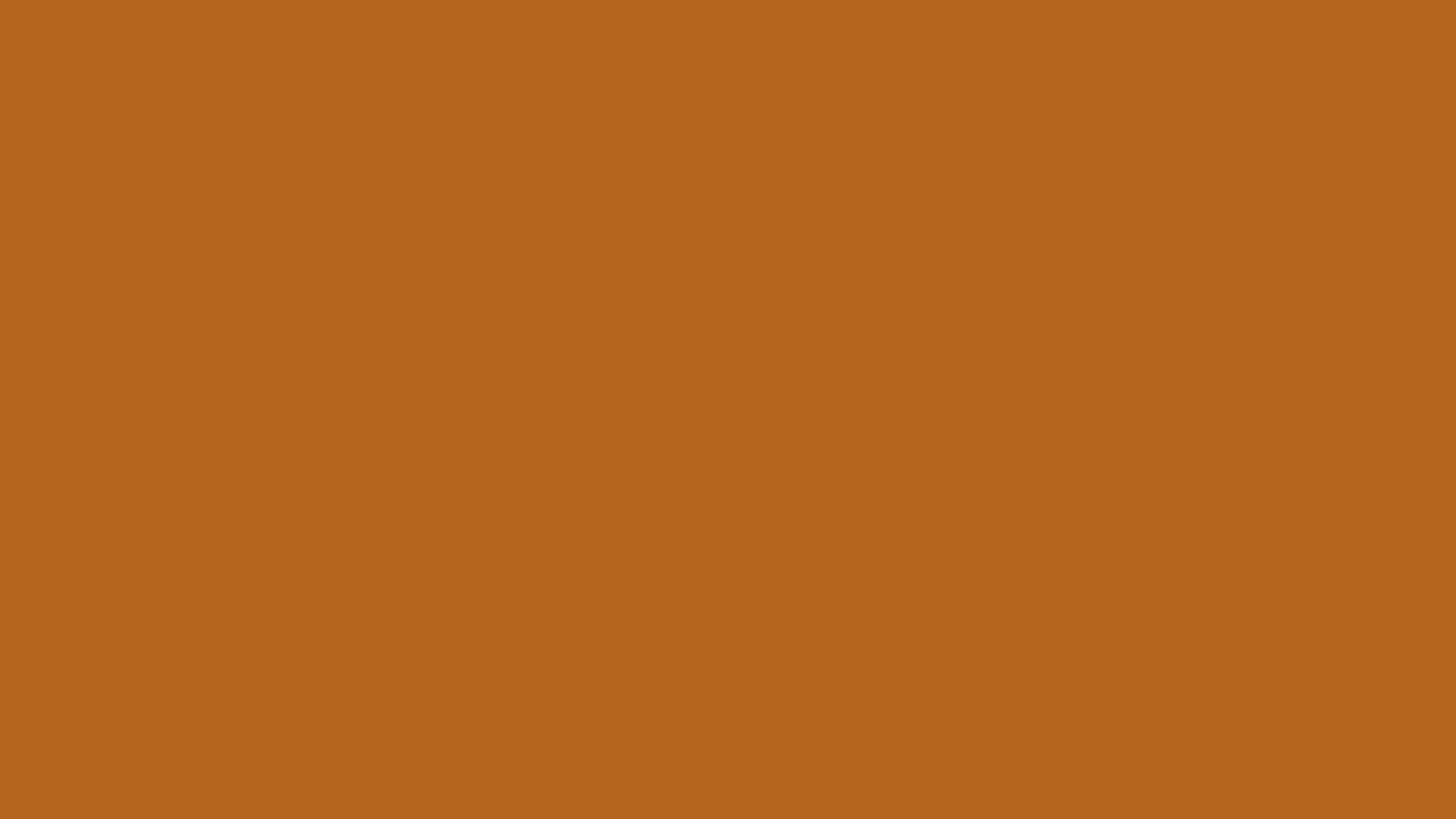 Free 2560x1440 resolution Light Brown solid color background view and