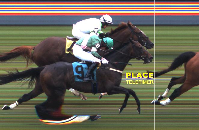 Pictures Photo Finishes New York Racing Association Saratoga