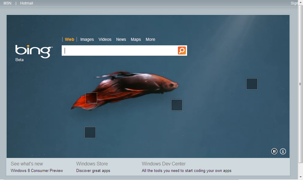 For Windows Consumer Pre On Bing With Betta Fish TecHDows