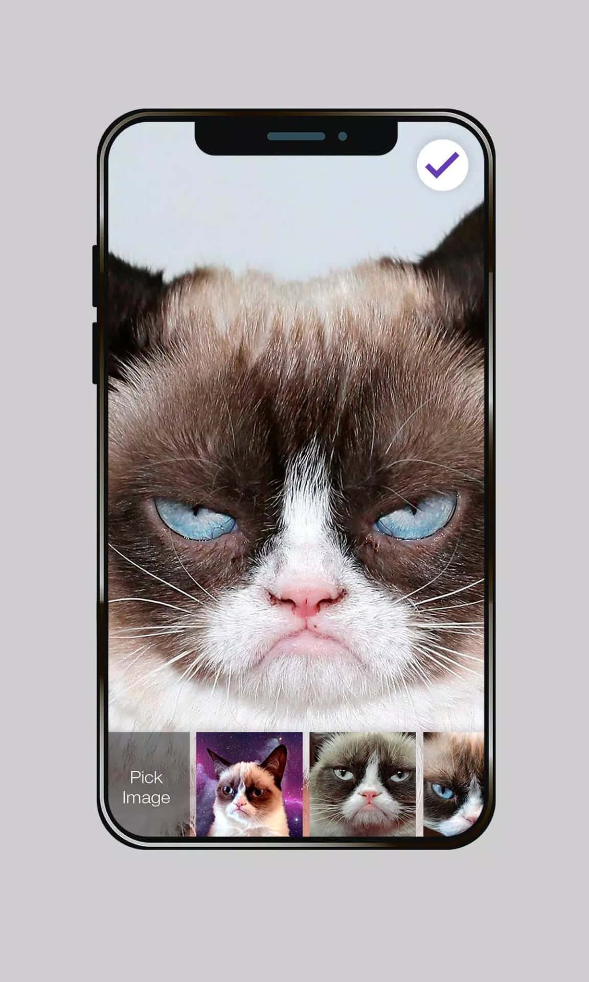 Don T Question My Grumpy Attitude Wallpaper