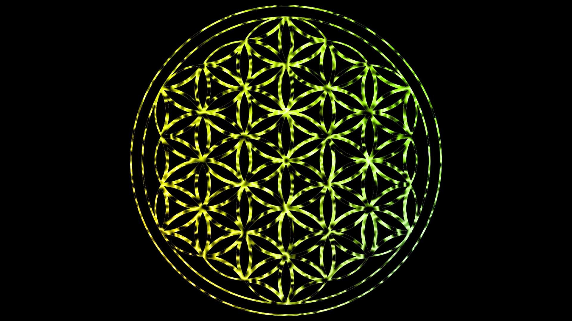 Flower Of Life Wallpaper