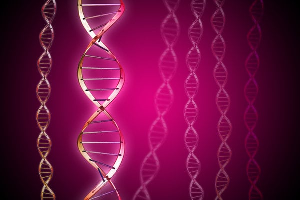 DNA molecule 6 Free stock photos   Rgbstock  Free stock images