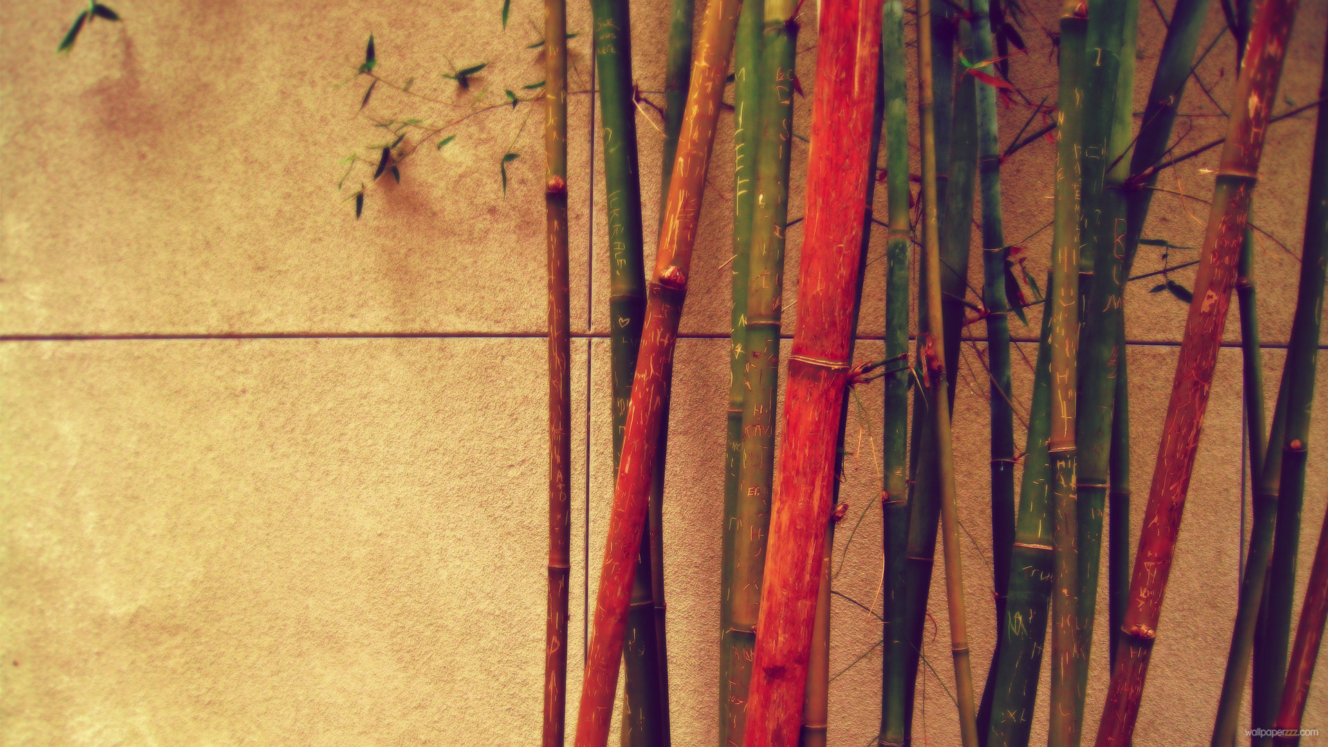 Hipster Bamboo HD Wallpaper