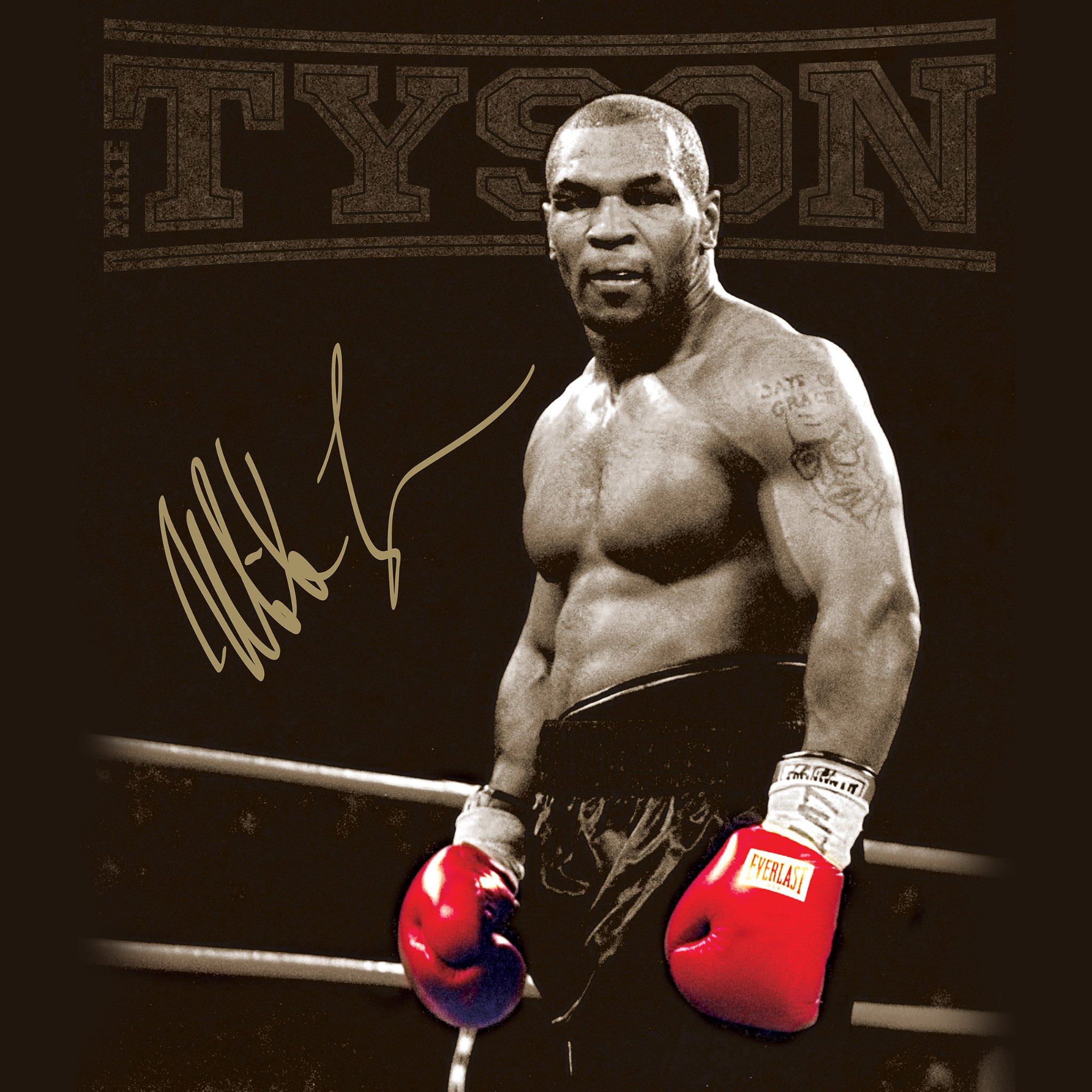 Mike Tyson Wallpaper Background Image