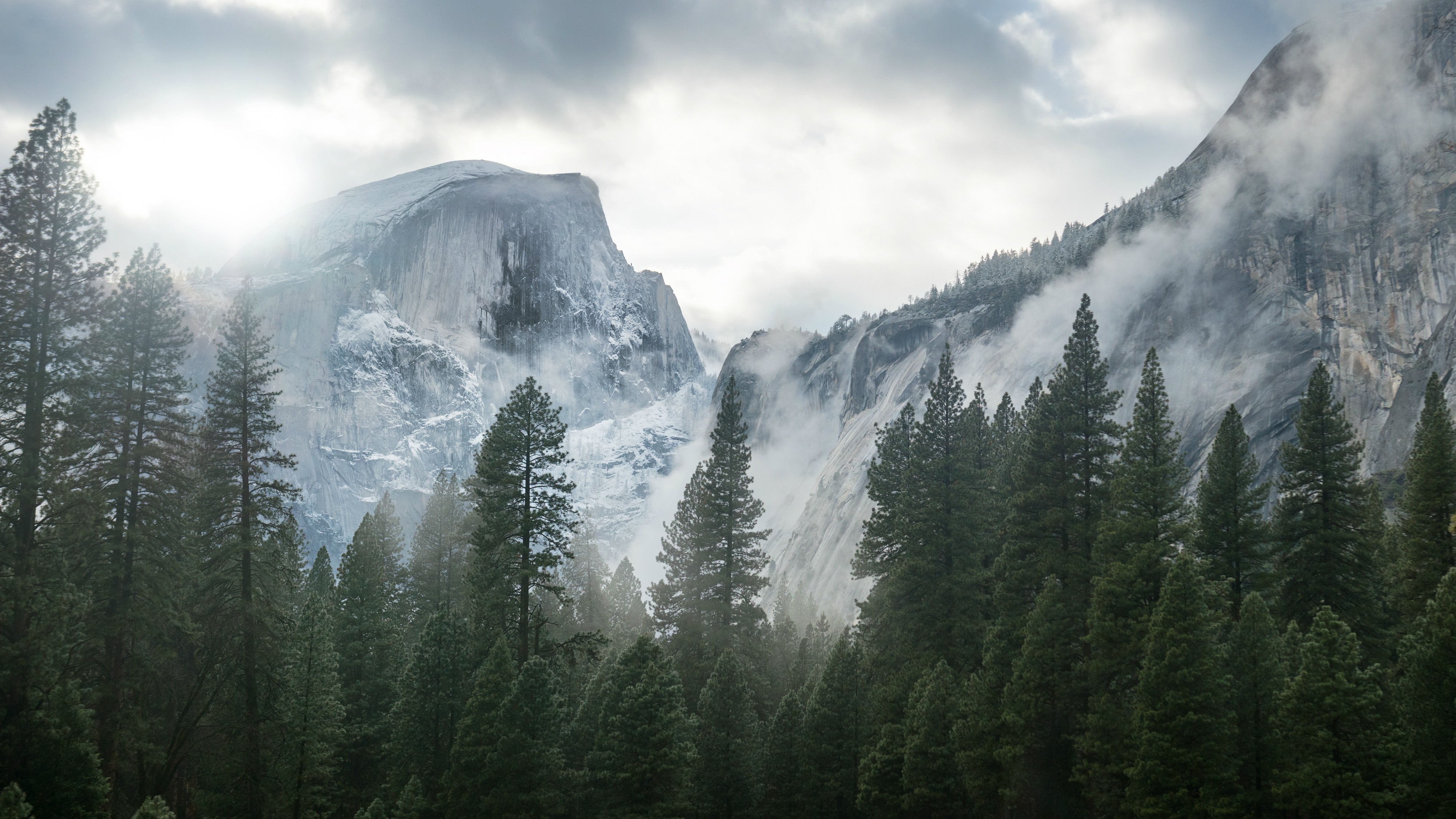 Yosemite National Park Nature Mountain Trees Mist Wallpaper