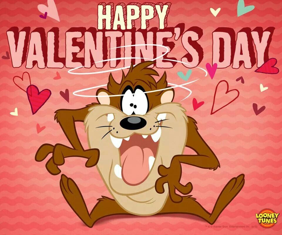 Happy Valentine S Day Taz Holiday Looney Tunes